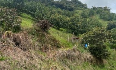 finca en venta en rural. Cod V6631