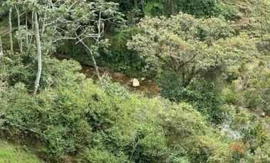finca en venta en rural. Cod V6631