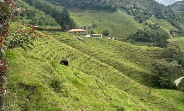 finca en venta en rural. Cod V6631