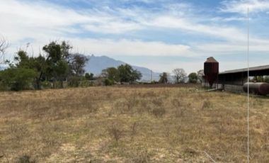 HECTAREA EN VENTA EN NUEVO BLVD PANTANAL - XALISCO, NAY. (EL)