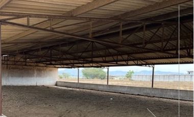 HECTAREA EN VENTA EN NUEVO BLVD PANTANAL - XALISCO, NAY. (EL)