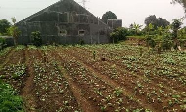 Tanah Kebun Siap Bangun Jambudipa Kolonel Masturi Cimahi Bandung Barat