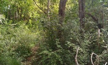 Venta de terreno de 20 Has, Temozon, Yucatán