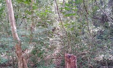 Venta de terreno de 20 Has, Temozon, Yucatán