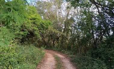 Venta de terreno de 20 Has, Temozon, Yucatán