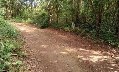 Venta de terreno de 20 Has, Temozon, Yucatán