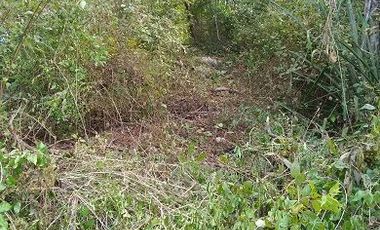 Venta de terreno de 20 Has, Temozon, Yucatán