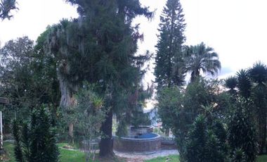 finca en venta en los balsos. Cod V13174