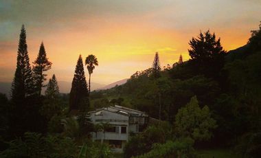 finca en venta en los balsos. Cod V13174