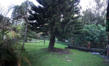 finca en venta en los balsos. Cod V13174