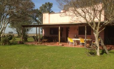 Campo de 98 ha