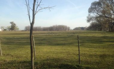 Campo de 98 ha