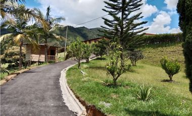 Casa en Arriendo en La Ceja Antioquia