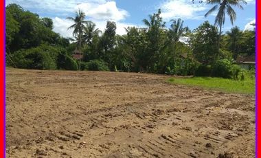 Kawasan Industri Batang, Tanah Kavling Standar Perumahan: SHM Unit