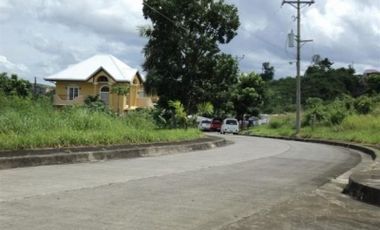 Residential Lots 150 to 200 sqm in El Monteverde Subdivision