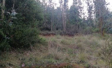 Parcela en Venta en Hemosa Parcela en Valle Melosilla