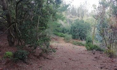 Parcela en Venta en Hemosa Parcela en Valle Melosilla