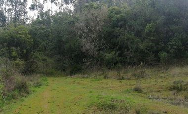 Parcela en Venta en Hemosa Parcela en Valle Melosilla