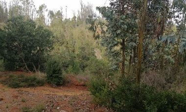 Parcela en Venta en Hemosa Parcela en Valle Melosilla
