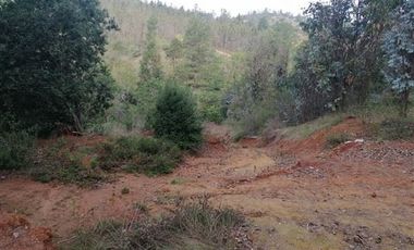Parcela en Venta en Hemosa Parcela en Valle Melosilla