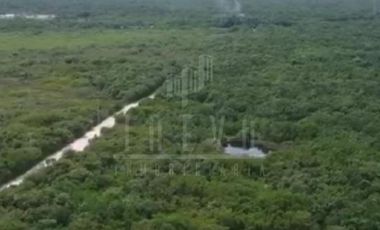 Terreno para hotel o parque ecoturístico con 17 cenotes