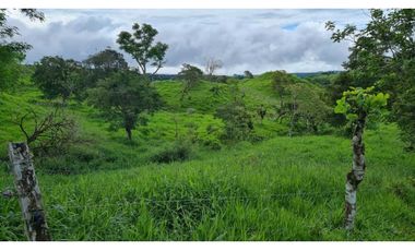 Se vende espectacular finca ganadera en Volcán, Tierras Altas
