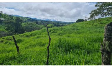 Se vende espectacular finca ganadera en Volcán, Tierras Altas