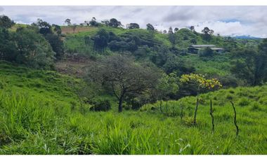 Se vende espectacular finca ganadera en Volcán, Tierras Altas