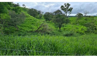 Se vende espectacular finca ganadera en Volcán, Tierras Altas