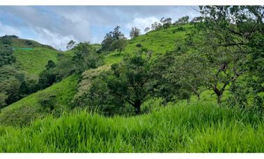 Se vende espectacular finca ganadera en Volcán, Tierras Altas