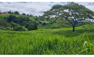 Se vende espectacular finca ganadera en Volcán, Tierras Altas