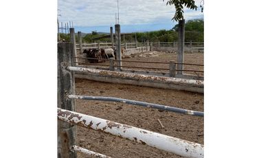 HERMOSO RANCHO EN LOS GAVILANES
