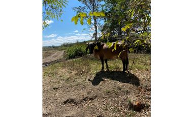 HERMOSO RANCHO EN LOS GAVILANES