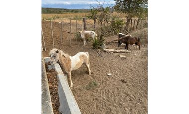 HERMOSO RANCHO EN LOS GAVILANES