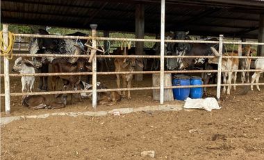 HERMOSO RANCHO EN LOS GAVILANES