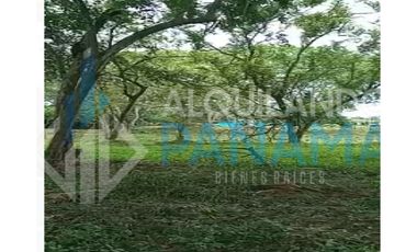 Se Vende Magnifico Terreno 42.000 Mts2 Chitré Herrera $11.000.000.00