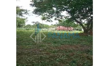 Se Vende Magnifico Terreno 42.000 Mts2 Chitré Herrera $11.000.000.00