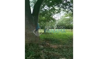 Se Vende Magnifico Terreno 42.000 Mts2 Chitré Herrera $11.000.000.00