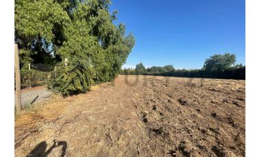 SE VENDE TERRENO DE 5.000 M2 UBICADO EN SECTOR SANTA ESTHER