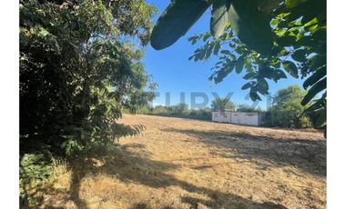 SE VENDE TERRENO DE 5.000 M2 UBICADO EN SECTOR SANTA ESTHER