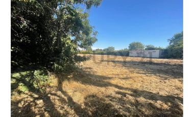 SE VENDE TERRENO DE 5.000 M2 UBICADO EN SECTOR SANTA ESTHER