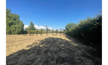 SE VENDE TERRENO DE 5.000 M2 UBICADO EN SECTOR SANTA ESTHER