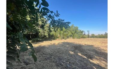 SE VENDE TERRENO DE 5.000 M2 UBICADO EN SECTOR SANTA ESTHER