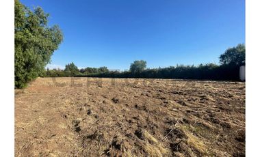 SE VENDE TERRENO DE 5.000 M2 UBICADO EN SECTOR SANTA ESTHER