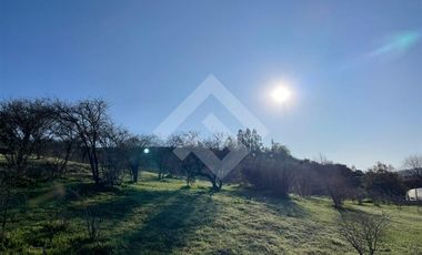 Agrícola en Venta en Sector los Maitenes