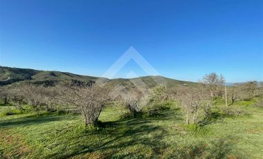 Agrícola en Venta en Sector los Maitenes