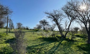 Agrícola en Venta en Sector los Maitenes