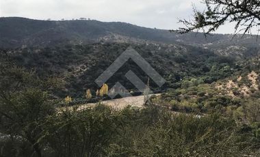 Agrícola en Venta en Sector los Maitenes