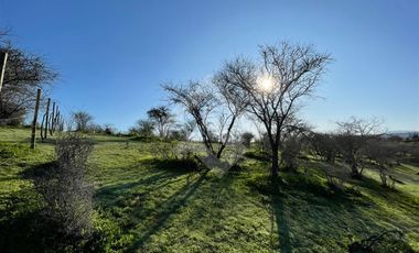 Agrícola en Venta en Sector los Maitenes
