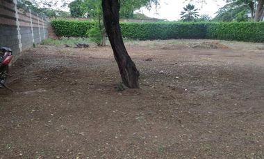 lote en venta en urb san pedro sector tamarindo, tamacoa. Cod V2338